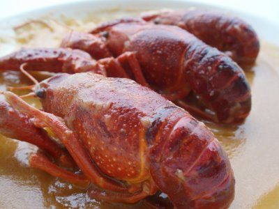 Cangrejos